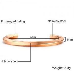 Stainless Steel Rose Gold-plating Bangle - KB136767-WGSF