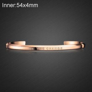 Stainless Steel Rose Gold-plating Bangle - KB137257-WGLA