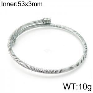 Stainless Steel Wire Bangle - KB143439-Z