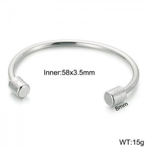 Stainless Steel Bangle - KB149195-Z