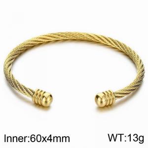 Stainless Steel Wire Bangle - KB184205-XY