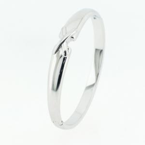 Stainless Steel Bangle - KB184848-SP