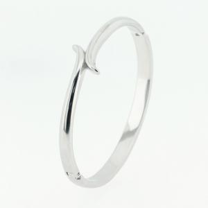 Stainless Steel Bangle - KB184862-SP