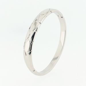 Stainless Steel Bangle - KB184863-SP