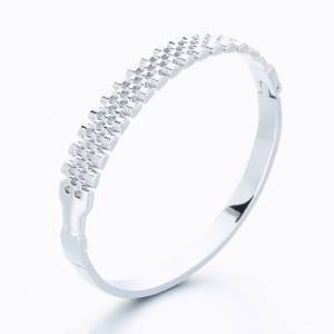 Stainless Steel Bangle - KB189764-SP