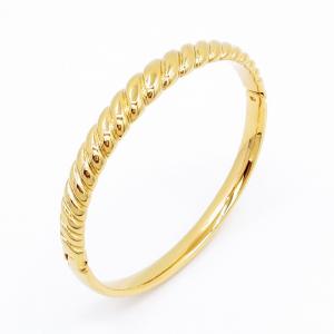 Stainless Steel Gold-plating Bangle - KB202829-SP