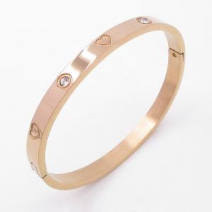 Stainless Steel Stone Bangle - KB205241-ZY