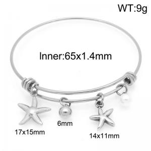 Stainless Steel Bangle - KB208495-Z