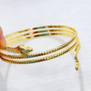 Stainless Steel Gold-plating Bangle - KB210330-BI