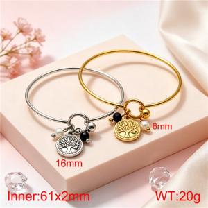 Stainless Steel Bangle - KB217343-Z