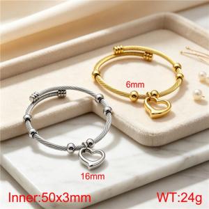 Stainless Steel Bangle - KB217345-Z