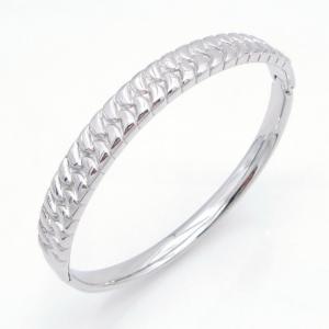 Stainless Steel Bangle - KB218115-CQ