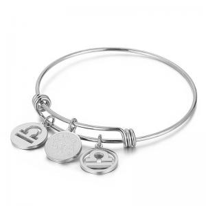 Stainless Steel Bangle - KB88077-Z