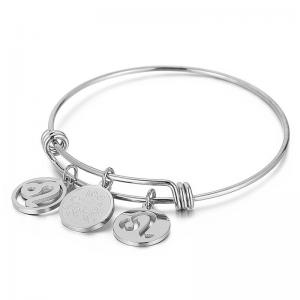 Stainless Steel Bangle - KB88083-Z