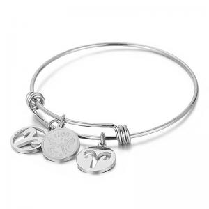 Stainless Steel Bangle - KB88084-Z