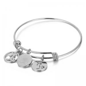 Stainless Steel Bangle - KB88086-Z