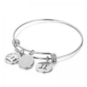 Stainless Steel Bangle - KB88087-Z
