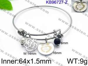 Stainless Steel Bangle - KB96727-Z