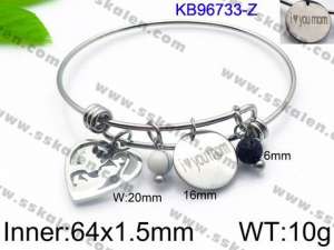Stainless Steel Bangle - KB96733-Z
