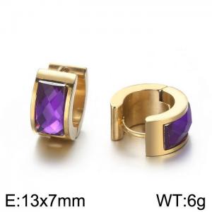 Titanium steel earrings with drill stainless steel personalized earrings - KE108289-TGD