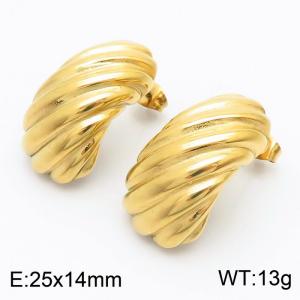 Stainless steel thick Fried Dough Twists earrings Women's earrings Party jewelry - KE111643-KFC