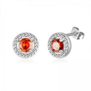 Stainless Steel Stone&Crystal Earring - KE112033-PA