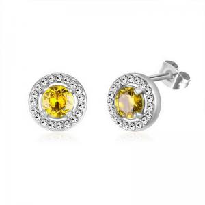 Stainless Steel Stone&Crystal Earring - KE112037-PA