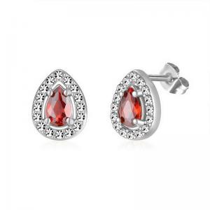 Stainless Steel Stone&Crystal Earring - KE112057-PA