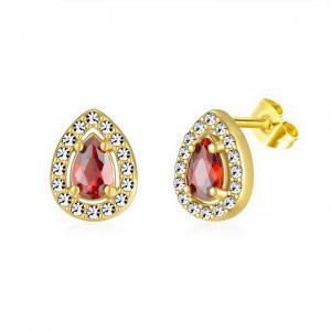 Stainless Steel Stone&Crystal Earring - KE112058-PA