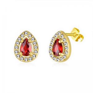 Stainless Steel Stone&Crystal Earring - KE112060-PA