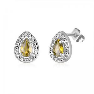 Stainless Steel Stone&Crystal Earring - KE112061-PA