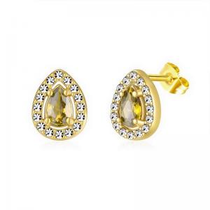 Stainless Steel Stone&Crystal Earring - KE112062-PA