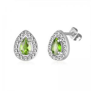 Stainless Steel Stone&Crystal Earring - KE112069-PA