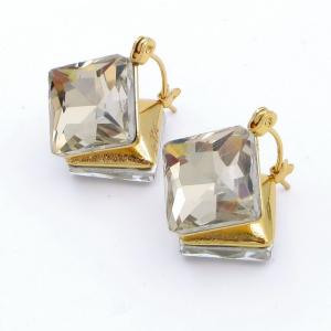 Stainless Steel Stone&Crystal Earring - KE118907-SP