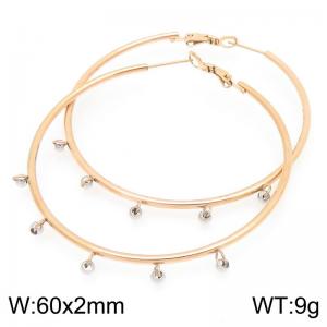SS Rose Gold-Plating Earring - KE119720-QY