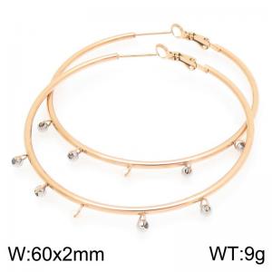 SS Rose Gold-Plating Earring - KE119723-QY