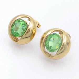 SS Gold-Plating Earring - KE120869-SP