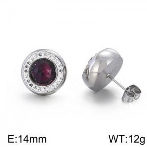 Stainless Steel Stone&Crystal Earring - KE57535-Z