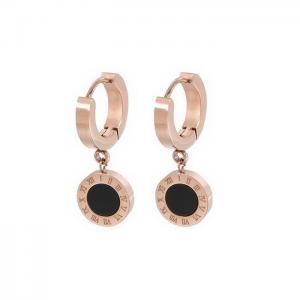 SS Rose Gold-Plating Earring - KE82161-KA