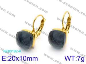 Stainless Steel Stone&Crystal Earring - KE83192-K