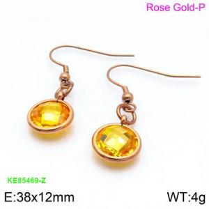 Stainless Steel Stone&Crystal Earring - KE85469-Z