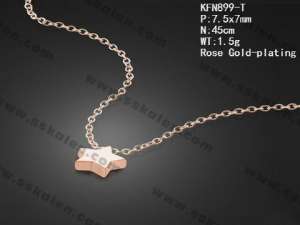 Sterling Silver Necklace - KFN899-T
