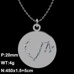 Stainless Steel Stone Necklace - KN90691-Z