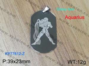 Stainless Steel Popular Pendant - KP77612-Z