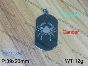 Stainless Steel Popular Pendant - KP77630-Z