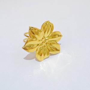 Stainless Steel Gold-plating Ring - KR114533-SXSJ