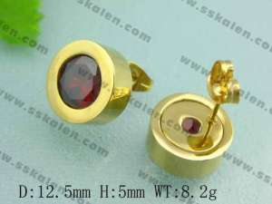 SS Gold-Plating Earring  - KE26041-D
