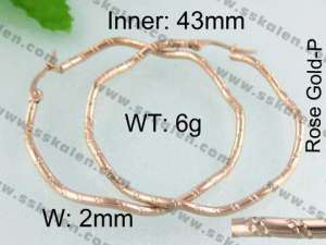 SS Gold-Plating Earring - KE40202-YX