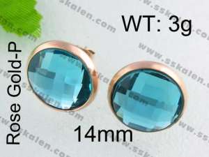 SS Gold-Plating Earring - KE40706-YX