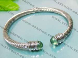  Stainless Steel Bangle  - KB24986-T